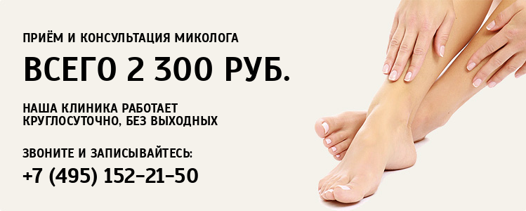 Микология